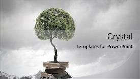  Presentation with growing tree - Beautiful slide deck featuring conceptual image with green tree backdrop and a light gray colored foreground