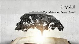  Presentation with growing tree - Slide set consisting of conceptual image with green tree background and a light gray colored foreground