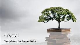  Presentation with growing tree - Presentation theme featuring conceptual image with green tree background and a light gray colored foreground