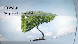  Presentation with growing tree - Cool new PPT theme with conceptual image with green tree backdrop and a light blue colored foreground