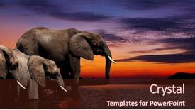  Presentation with fantasy - Audience pleasing slides consisting of conceptual landscape - elephant fantasy backdrop and a tawny brown colored foreground