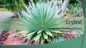  Presentation with plants growing - Beautiful PPT theme featuring conceptual of gardening and horticulture backdrop and a seafoam green colored foreground
