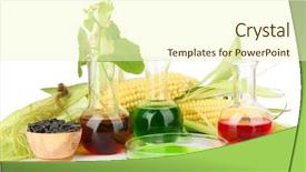  Presentation with bio ethanol - Colorful presentation design enhanced with sand on the beach backdrop and a coral colored foreground