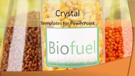  Presentation with bio fuel - Colorful presentation theme enhanced with beautiful white horse and her backdrop and a  colored foreground.