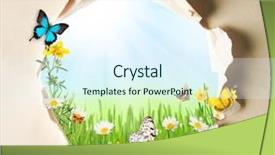  Presentation with butterflies - Slide set featuring conceptual spring theme with gappy background and a sky blue colored foreground