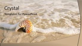  Presentation with sea shell - Amazing presentation theme having conch - nautilus shell with sea wave backdrop and a soft green colored foreground