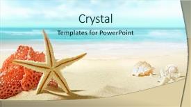  Presentation with beach toys on sand - Beautiful slides featuring conch - view on sandy beach backdrop and a cool aqua colored foreground
