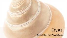  Presentation with cfd white - Presentation theme enhanced with conch isolated on a white background and a lemonade colored foreground