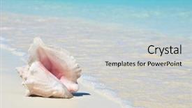  Presentation with bahamas - Presentation theme featuring conch on the beach exuma background and a  colored foreground