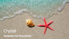  Presentation with seashell - PPT layouts consisting of conch shell - beach starfish and seashell background and a coral colored foreground