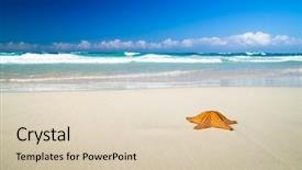  Presentation with starfish - Slide set with conch shell - caribbean starfish over sand beach background and a lemonade colored foreground