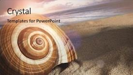  Presentation with seashell - Slide deck with conch shell - large seashell in the sand background and a coral colored foreground