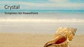  Presentation with shell - Cool new presentation with conch shell on an exotic backdrop and a light blue colored foreground