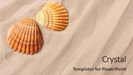  Presentation with tropical beach party - Slide deck consisting of conch shell on an tropical background and a soft green colored foreground