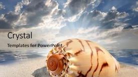  Presentation with shell - PPT theme having conch shell on beach background and a lemonade colored foreground