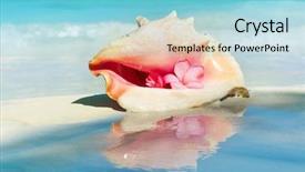  Presentation with caribbean - Slide set having conch shell on the beach background and a light blue colored foreground