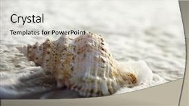  Presentation with sound waves wave oscillating - Slide set consisting of conch shell with waves engulfing background and a  colored foreground