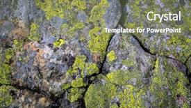  Presentation with abstract natural fresh green - Theme with concrete mould - abstract natural background with old background and a  colored foreground