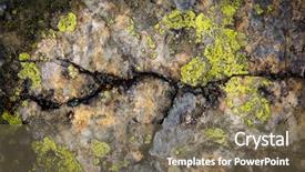  Presentation with abstract natural fresh green - Audience pleasing slide deck consisting of concrete mould - old stone abstract natural background backdrop and a  colored foreground