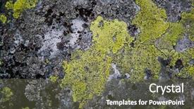  Presentation with old stone age - Amazing slide set having concrete mould - old stone surface - abstract backdrop and a  colored foreground