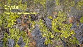  Presentation with moss - PPT theme featuring concrete mould - yellow moss on old stone background and a  colored foreground