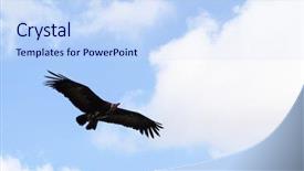 Presentation with birds flying - Presentation enhanced with background of the blue sky background and a sky blue colored foreground