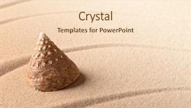 Presentation with sea shell - Theme having cone sea shell on sandy background and a lemonade colored foreground