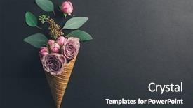  Presentation with roses - Amazing presentation theme having cone with composition of roses backdrop and a dark gray colored foreground