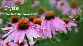  Presentation with plants - Presentation with architect holding clipboard and pen on blue background background and a teal colored foreground