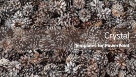  Presentation with mulch - Colorful theme enhanced with cones-in-the-garden-organic backdrop and a dark gray colored foreground