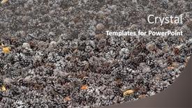  Presentation with mulch - Presentation theme with cones-in-the-garden-organic background and a gray colored foreground
