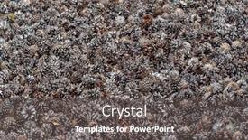  Presentation with mulch - Cool new presentation with cones-in-the-garden-organic backdrop and a gray colored foreground