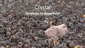  Presentation with mulch - Presentation theme enhanced with cones-in-the-garden-organic background and a gray colored foreground