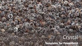  Presentation with mulch - Amazing PPT theme having cones-in-the-garden-organic backdrop and a dark gray colored foreground