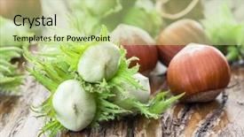  Presentation with hazelnuts - Presentation theme with confectionary - young hazelnuts and ripe brown background and a mint green colored foreground