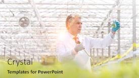  Presentation with herb - Slides consisting of confident-male-scientist-examining-herb background and a yellow colored foreground