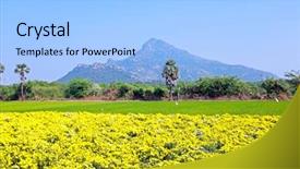  Presentation with himalaya - Colorful PPT theme enhanced with confirmation - mountain arunachala is the oldest backdrop and a light blue colored foreground