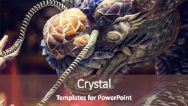  Presentation with dragon - Theme enhanced with cong - dragon fountain at the back background and a tawny brown colored foreground