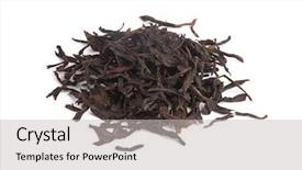  Presentation with scroll paper isolated on white - Cool new PPT theme with cong - honey orchid oolong isolated backdrop and a light gray colored foreground