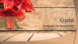  Presentation with wooden - Cool new PPT layouts with congratulation red orange - beautiful lilies on wooden background backdrop and a coral colored foreground