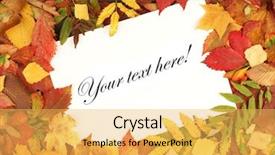  Presentation with congratulation - Presentation with congratulation red orange - colorful frame of fallen autumn background and a yellow colored foreground