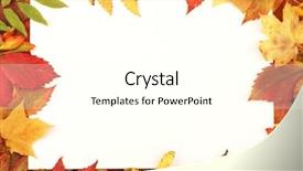  Presentation with congratulation - Cool new presentation theme with congratulation red orange - colorful frame of fallen autumn backdrop and a white colored foreground