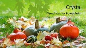  Presentation with congratulation - Colorful slide deck enhanced with congratulation red orange - harvested pumpkins with fall leaves backdrop and a yellow colored foreground
