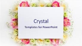  Presentation with congratulations - Theme having congratulations - festive flower concept beautiful floral background and a sky blue colored foreground