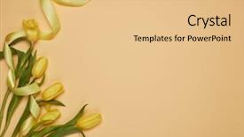  Presentation with greeting card - PPT layouts enhanced with congratulations promotion - fresh bouquet of yellow tulips background and a lemonade colored foreground