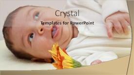  Presentation with congratulations - Amazing PPT theme having congratulations backdrop and a soft green colored foreground