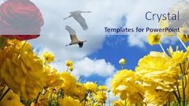  Presentation with congratulatory - Cool new PPT layouts with congratulatory-photo-postcard-magnificent-yellow backdrop and a sky blue colored foreground