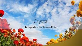  Presentation with congratulatory - Amazing slide deck having congratulatory-photo-postcard-south backdrop and a light blue colored foreground