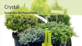  Presentation with trees - Beautiful slides featuring advertising concept glowing text market backdrop and a black colored foreground