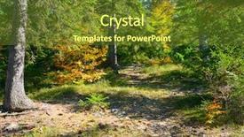  Presentation with tree sky trees green - Beautiful presentation featuring coniferous and deciduous trees backdrop and a tawny brown colored foreground